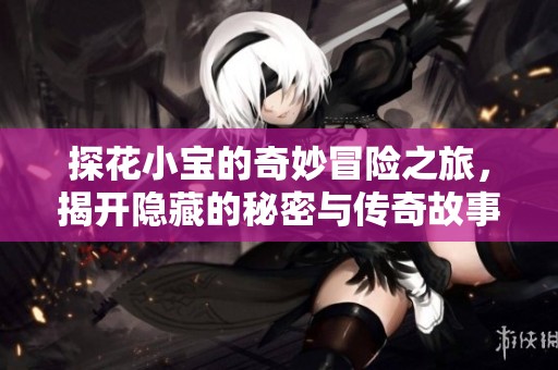 探花小宝的奇妙冒险之旅，揭开隐藏的秘密与传奇故事