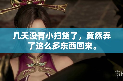 几天没有小扫货了，竟然弄了这么多东西回来。