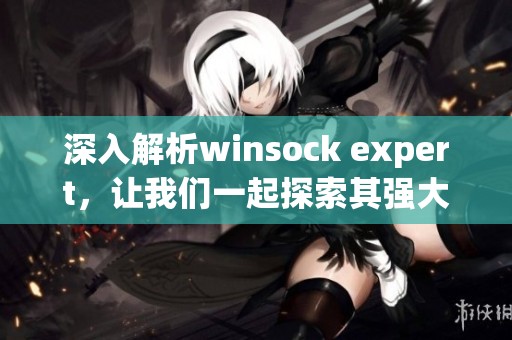 深入解析winsock expert，让我们一起探索其强大功能与应用技巧