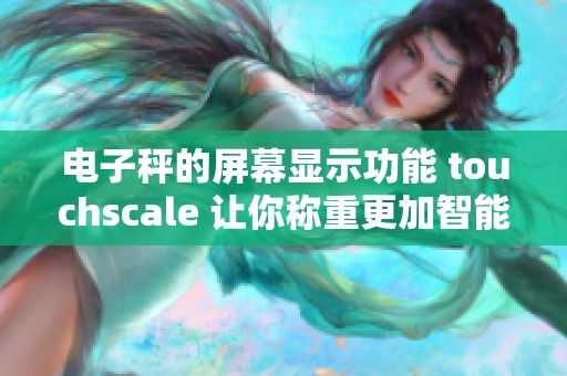 电子秤的屏幕显示功能 touchscale 让你称重更加智能便捷