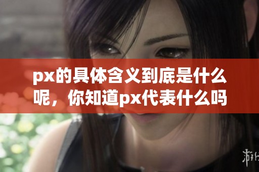 px的具体含义到底是什么呢，你知道px代表什么吗