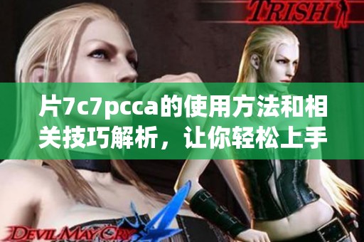 片7c7pcca的使用方法和相关技巧解析，让你轻松上手这款工具。