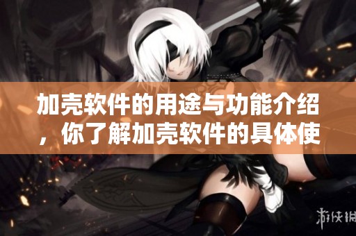 加壳软件的用途与功能介绍，你了解加壳软件的具体使用方式吗