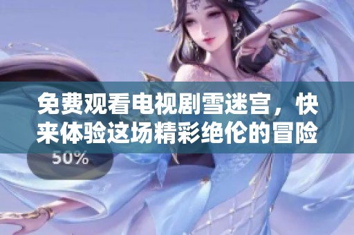 免费观看电视剧雪迷宫，快来体验这场精彩绝伦的冒险故事吧！