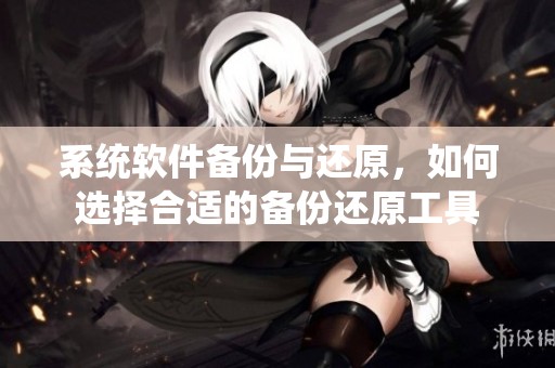 系统软件备份与还原，如何选择合适的备份还原工具