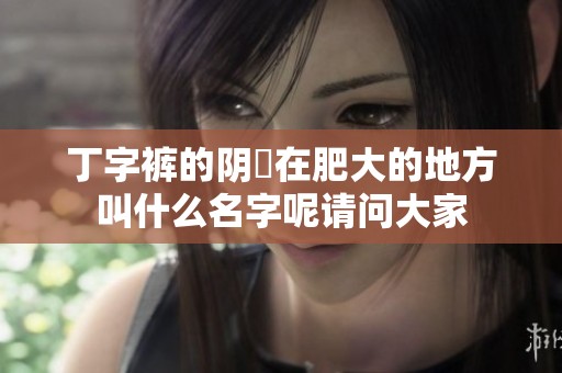 丁字裤的阴脣在肥大的地方叫什么名字呢请问大家