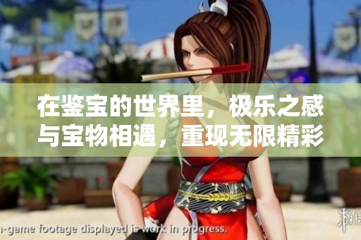 在鉴宝的世界里，极乐之感与宝物相遇，重现无限精彩