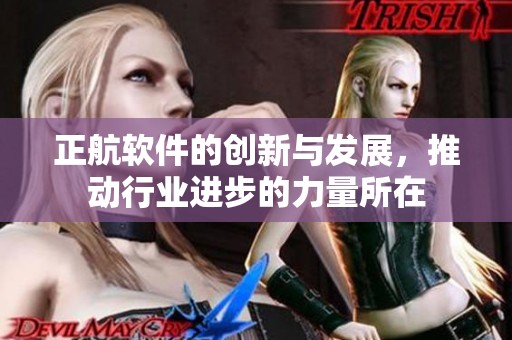 正航软件的创新与发展，推动行业进步的力量所在