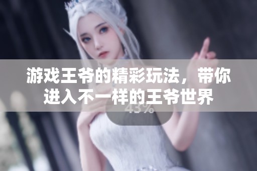 游戏王爷的精彩玩法，带你进入不一样的王爷世界