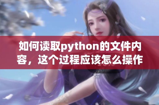 如何读取python的文件内容，这个过程应该怎么操作呢