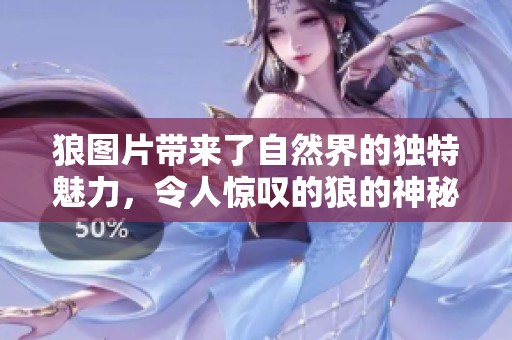 狼图片带来了自然界的独特魅力，令人惊叹的狼的神秘形象展示。