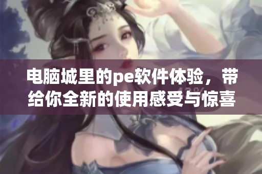 电脑城里的pe软件体验，带给你全新的使用感受与惊喜发现