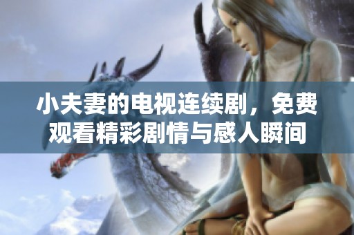 小夫妻的电视连续剧，免费观看精彩剧情与感人瞬间