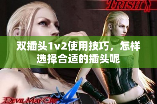 双插头1v2使用技巧，怎样选择合适的插头呢