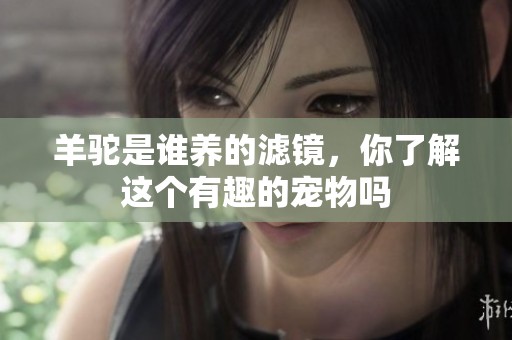 羊驼是谁养的滤镜，你了解这个有趣的宠物吗