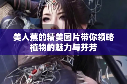 美人蕉的精美图片带你领略植物的魅力与芬芳