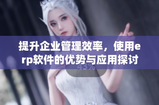 提升企业管理效率，使用erp软件的优势与应用探讨