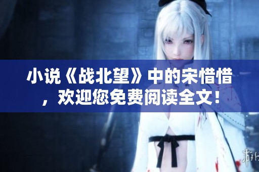 小说《战北望》中的宋惜惜，欢迎您免费阅读全文！