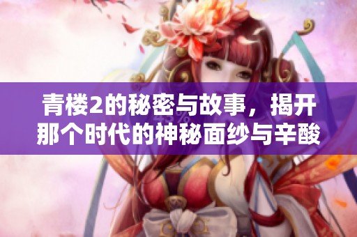 青楼2的秘密与故事，揭开那个时代的神秘面纱与辛酸往事