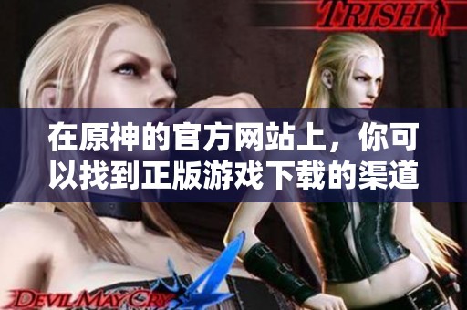 在原神的官方网站上，你可以找到正版游戏下载的渠道和信息