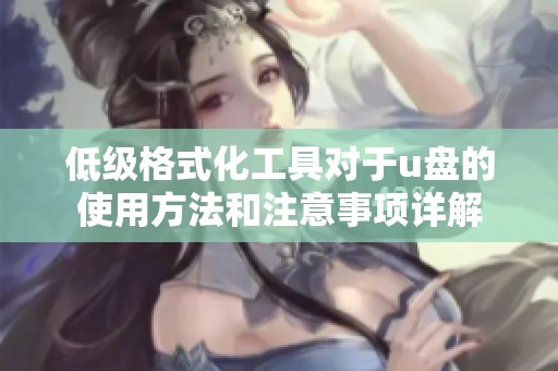 低级格式化工具对于u盘的使用方法和注意事项详解