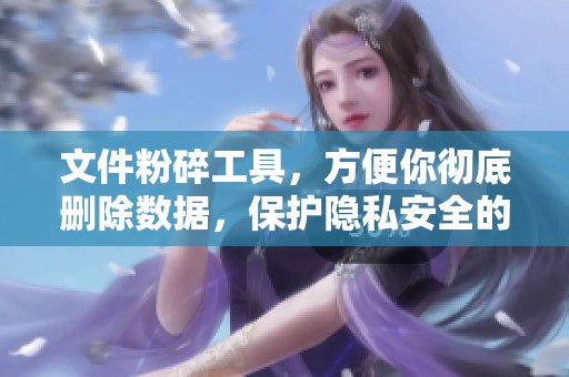 文件粉碎工具，方便你彻底删除数据，保护隐私安全的好助手