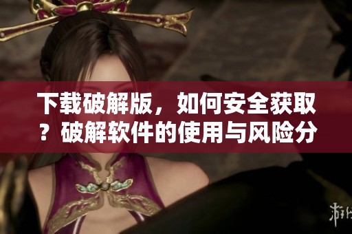 下载破解版，如何安全获取？破解软件的使用与风险分析