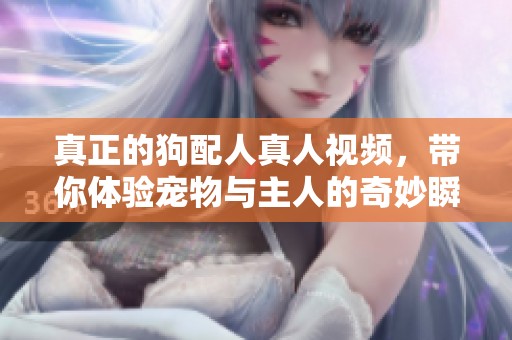 真正的狗配人真人视频，带你体验宠物与主人的奇妙瞬间