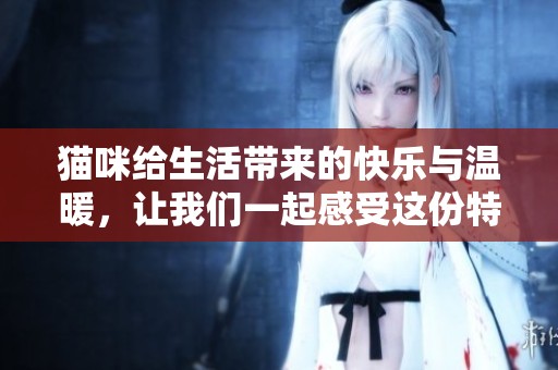 猫咪给生活带来的快乐与温暖，让我们一起感受这份特别的陪伴