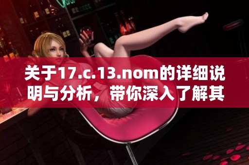 关于17.c.13.nom的详细说明与分析，带你深入了解其中的含义。