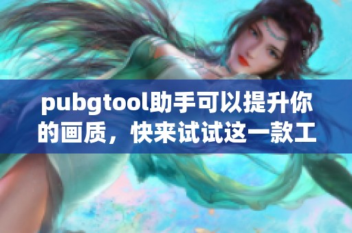 pubgtool助手可以提升你的画质，快来试试这一款工具！