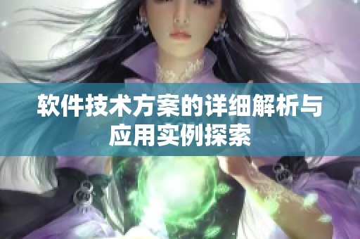 软件技术方案的详细解析与应用实例探索