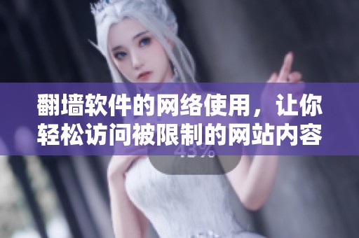 翻墙软件的网络使用，让你轻松访问被限制的网站内容