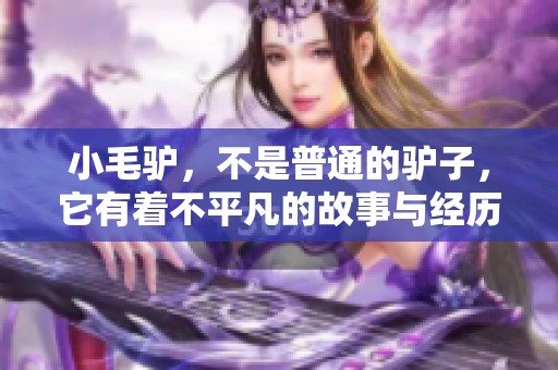 小毛驴，不是普通的驴子，它有着不平凡的故事与经历。