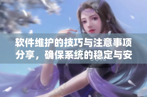 软件维护的技巧与注意事项分享，确保系统的稳定与安全性