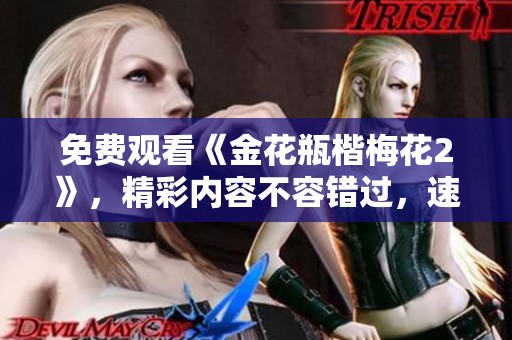 免费观看《金花瓶楷梅花2》，精彩内容不容错过，速来体验吧