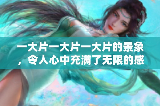 一大片一大片一大片的景象，令人心中充满了无限的感慨与遐想