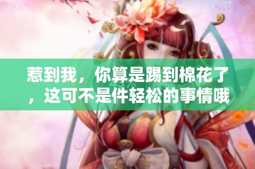 惹到我，你算是踢到棉花了，这可不是件轻松的事情哦！
