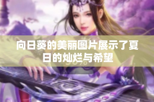 向日葵的美丽图片展示了夏日的灿烂与希望