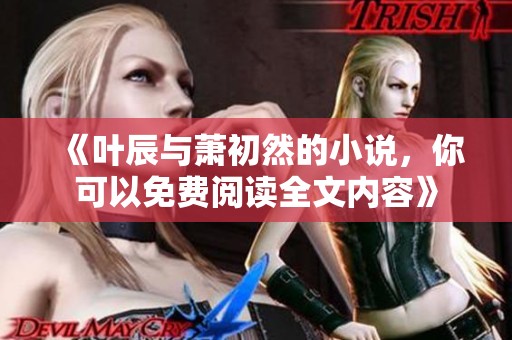《叶辰与萧初然的小说，你可以免费阅读全文内容》