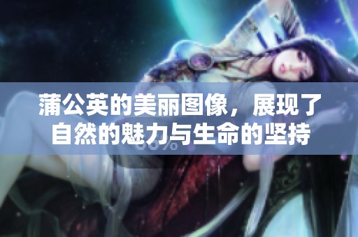 蒲公英的美丽图像，展现了自然的魅力与生命的坚持