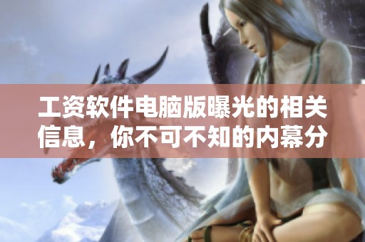 工资软件电脑版曝光的相关信息，你不可不知的内幕分析
