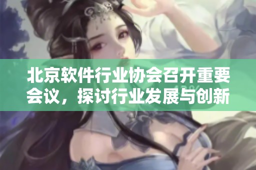 北京软件行业协会召开重要会议，探讨行业发展与创新之路