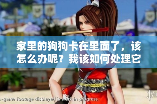 家里的狗狗卡在里面了，该怎么办呢？我该如何处理它的痛苦呢？