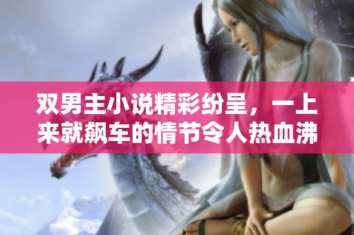 双男主小说精彩纷呈，一上来就飙车的情节令人热血沸腾