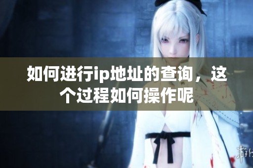 如何进行ip地址的查询，这个过程如何操作呢