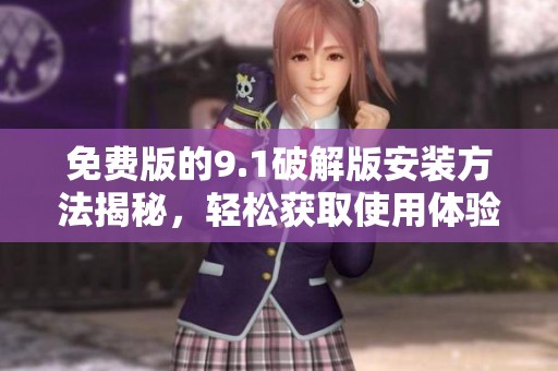 免费版的9.1破解版安装方法揭秘，轻松获取使用体验分享