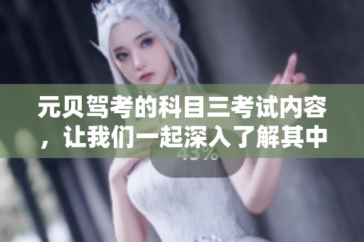 元贝驾考的科目三考试内容，让我们一起深入了解其中的技巧和注意事项