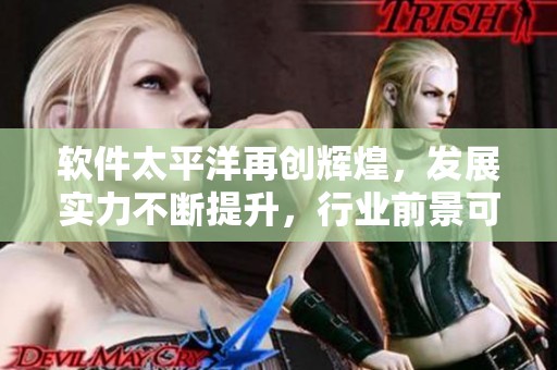软件太平洋再创辉煌，发展实力不断提升，行业前景可期