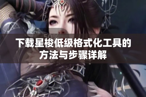 下载星梭低级格式化工具的方法与步骤详解